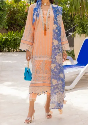 Adan's Libas Ilana Ready Made Embroidered Lawn