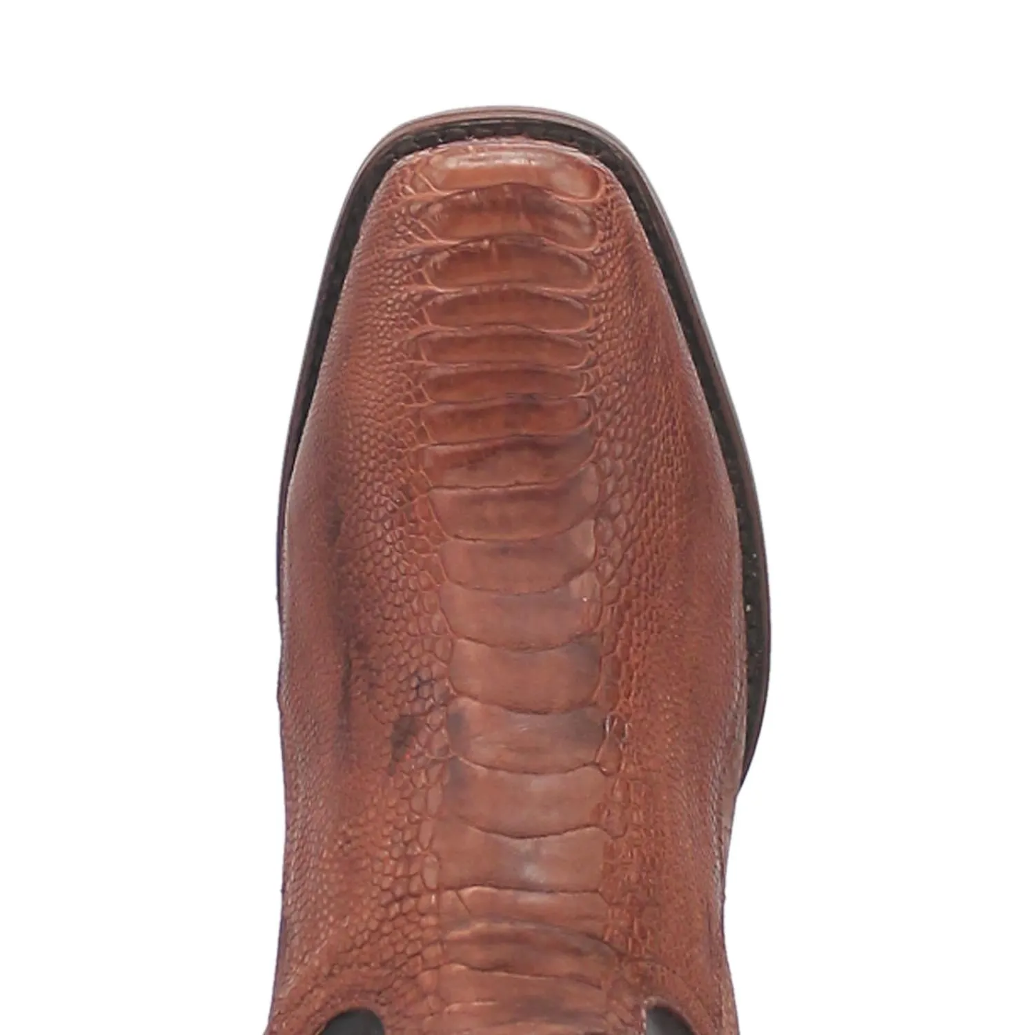 Dan Post Sprinter Brown Ostrich Leg Blunt Toe Western Boots for Men
