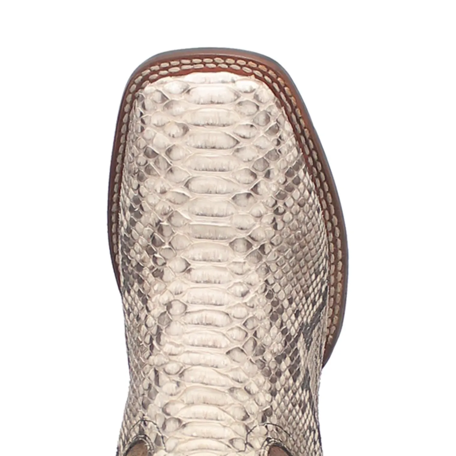 Men's Dan Post Brutus Natural/Brown Python Boots with Broad Square Toe