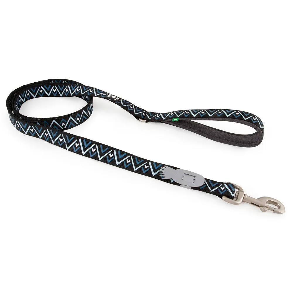 Raxxle Dazzle Dog Standard Leash