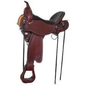 Ridgeline Trail Saddle