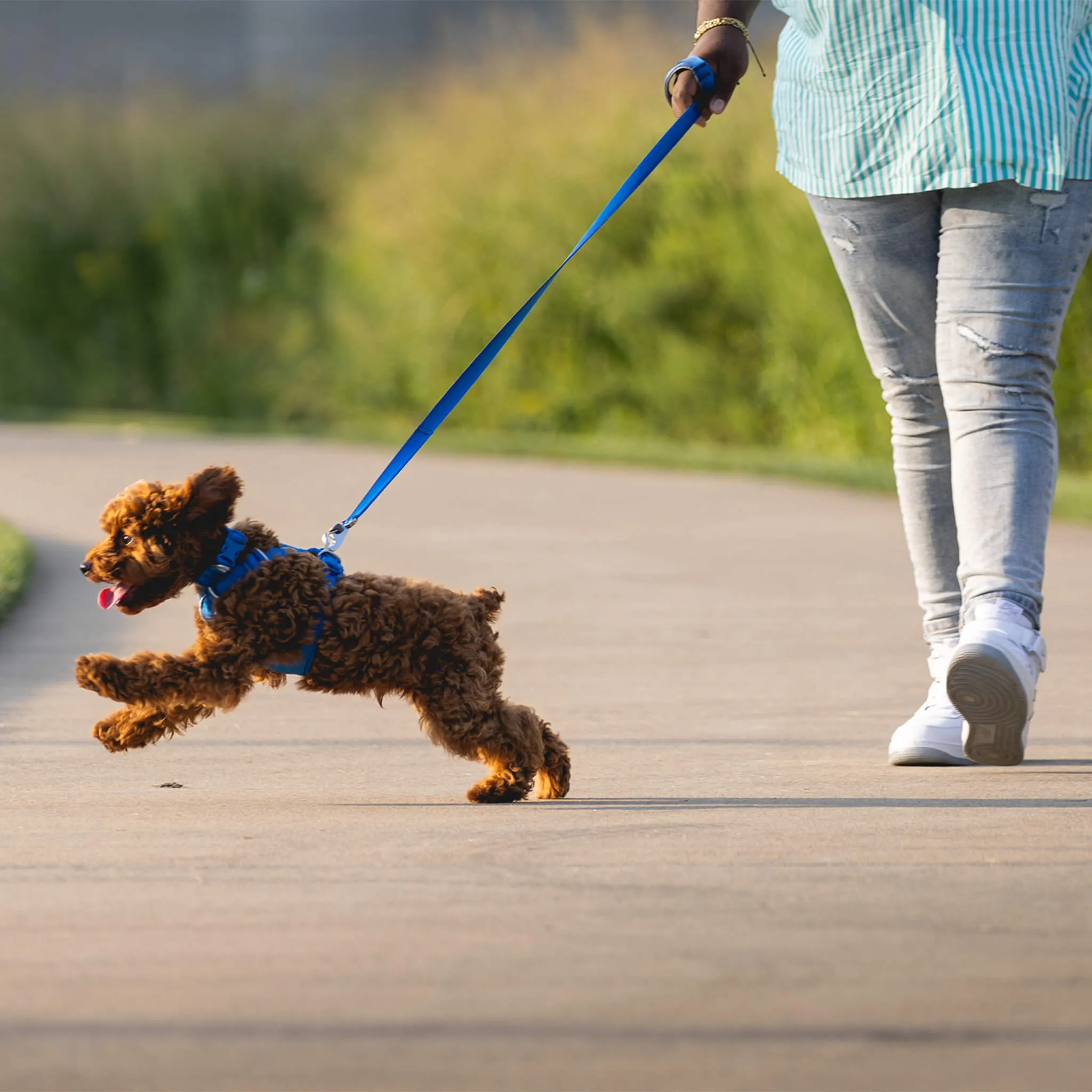 Ruffwear Front Range Leash for Dogs