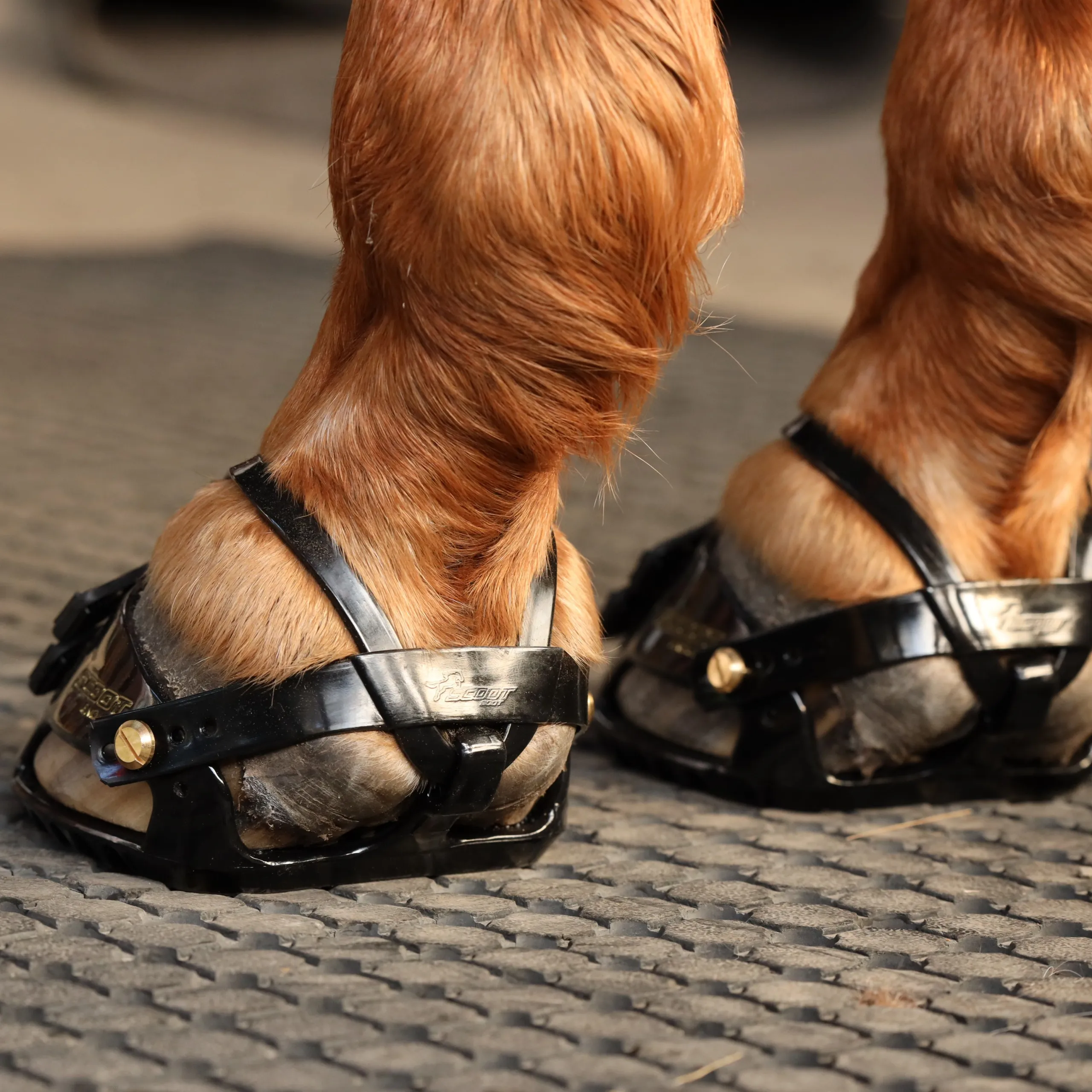 Scoot Boots Enduro hipposandales