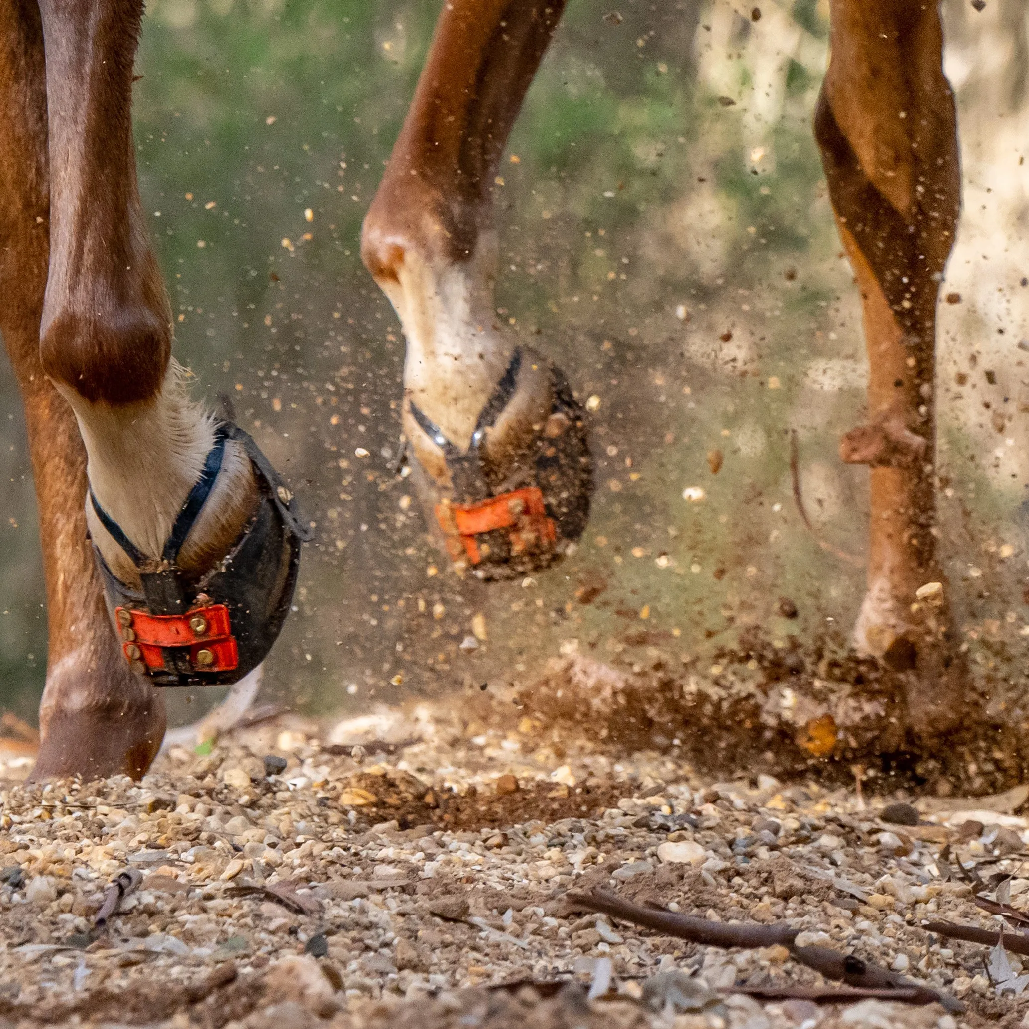 Scoot Boots Enduro hipposandales