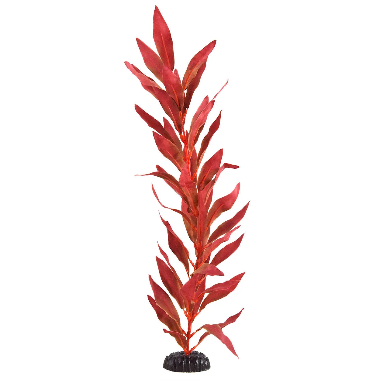 Underwater Treasures Red Hygro Silk Plant