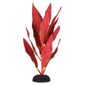Underwater Treasures Red Hygro Silk Plant