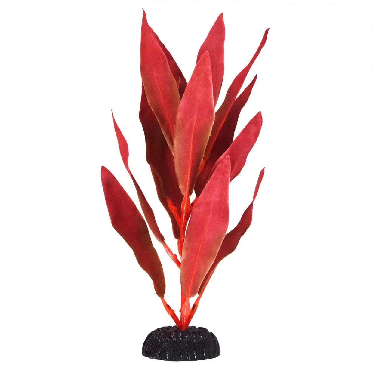 Underwater Treasures Red Hygro Silk Plant